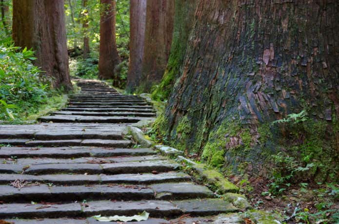 出羽三山　階段　羽黒山参詣道