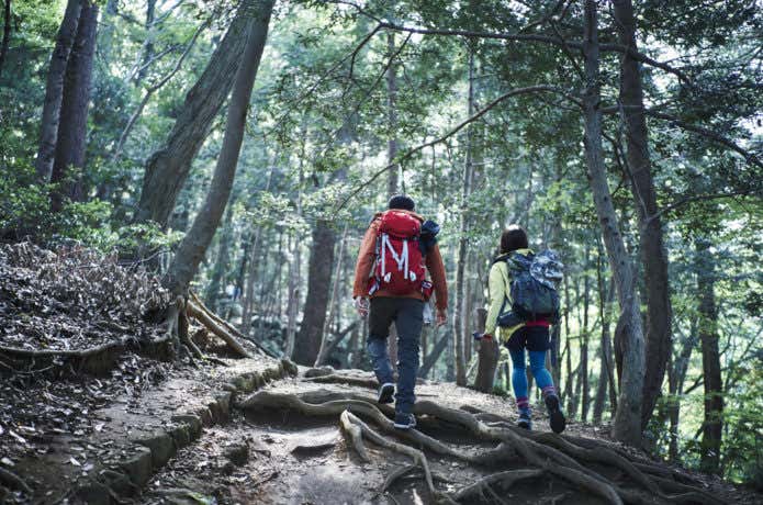 東京から日帰りで行ける山