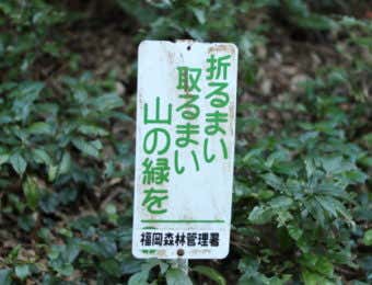 山の環境保全看板