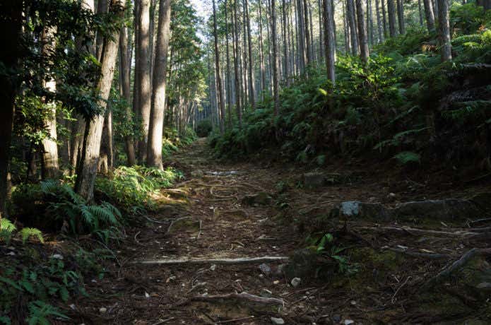 熊野古道