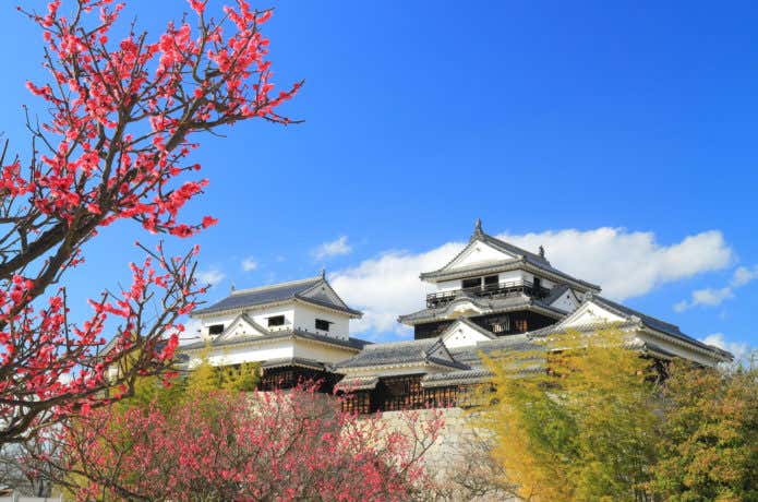 城山公園の梅