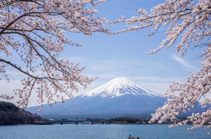 富士山と桜