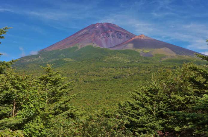 富士山スカイライン途中の水ヶ塚公園から見た富士山の画像