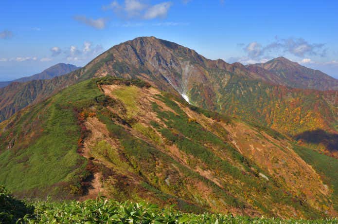 越後駒ケ岳 登山道