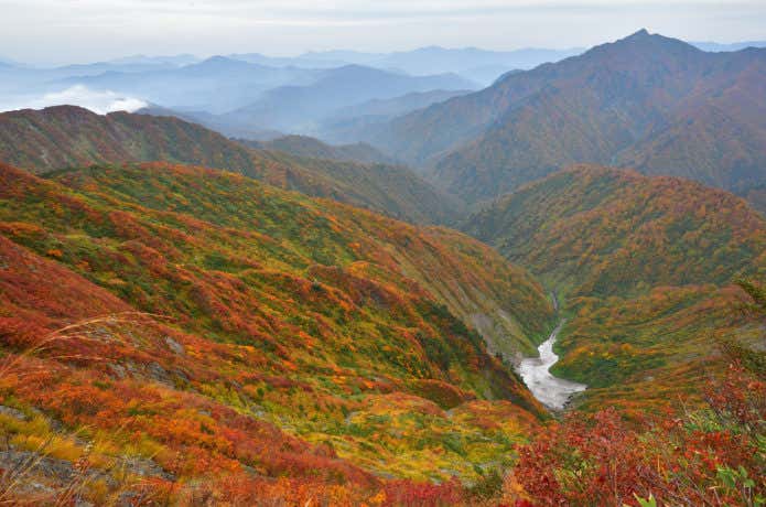 越後駒ケ岳　紅葉
