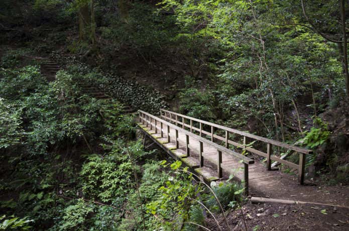 高尾山のハイキングコース3号路