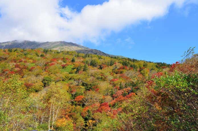 早池峰山　紅葉