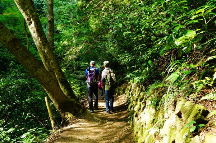 高尾山のハイキングコース6号路