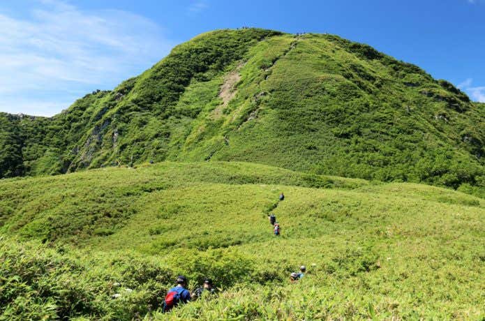 笹平から雨飾山山頂を望む