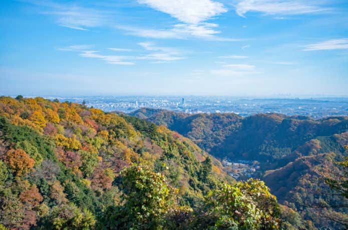 高尾山のハイキングコース稲荷山の展望台から見る景色