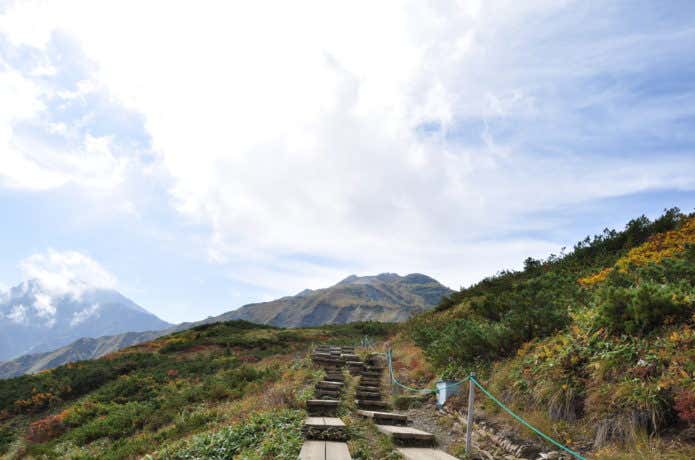 登山道の立ち入り禁止ロープ