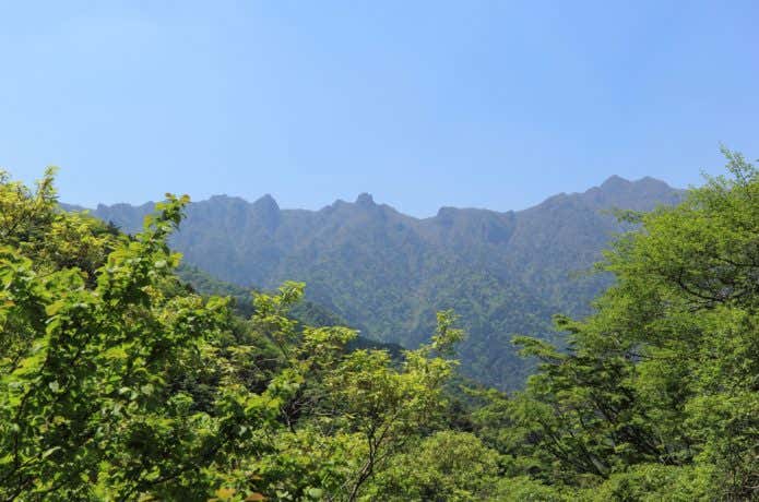 初夏の祖母山