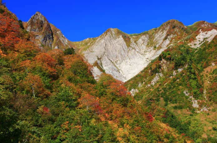雨飾山の布団菱（紅葉）