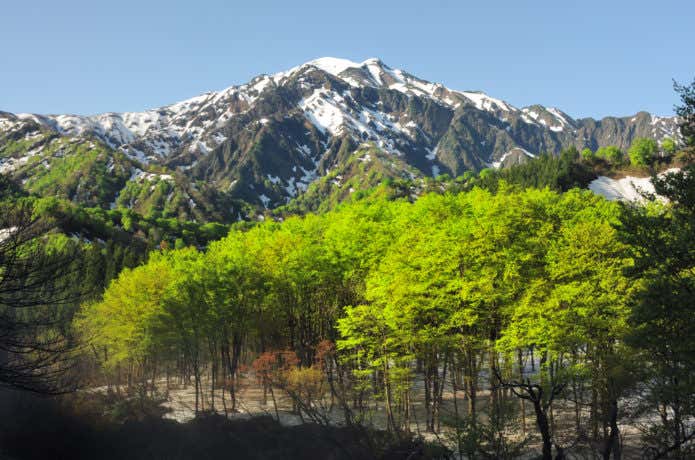 越後駒ケ岳