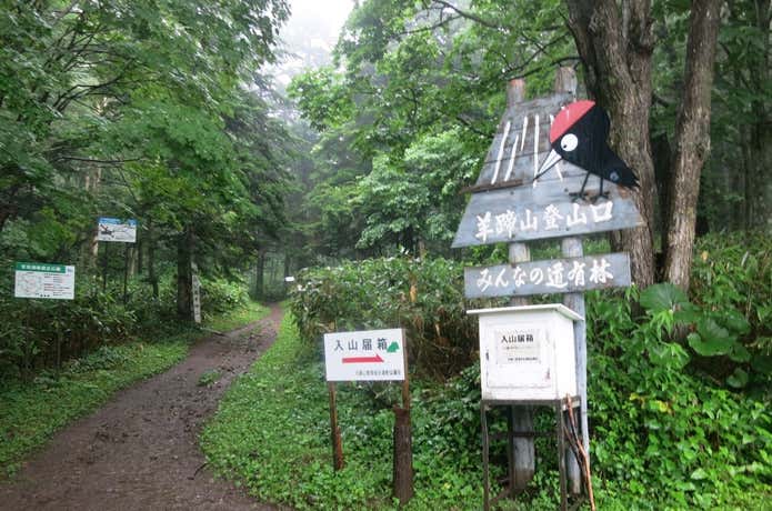 真狩コース登山口