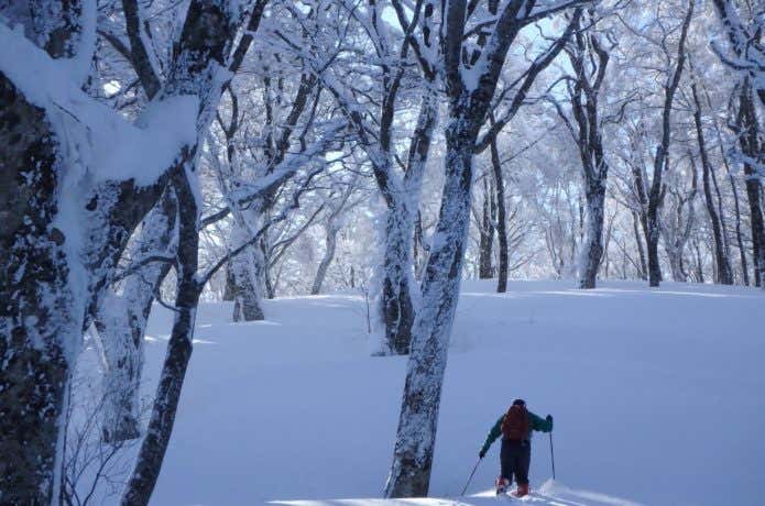 積雪期の荒島岳を登る登山者