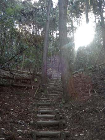 音羽山の階段