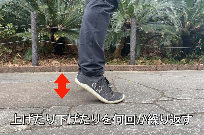 かかとの上げ下げ