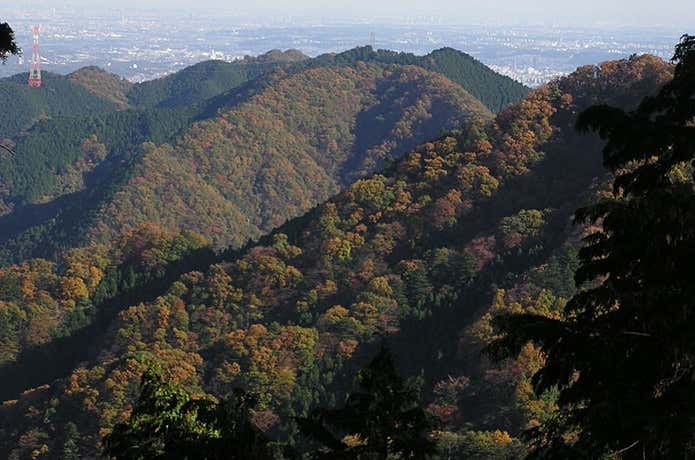 戸倉三山を縦走する