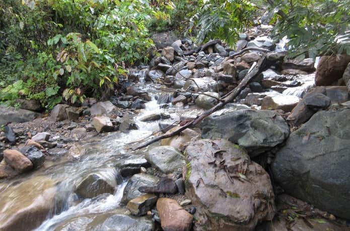 雨飾山の沢の道