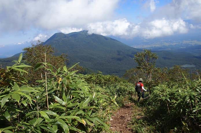 高妻山の新道