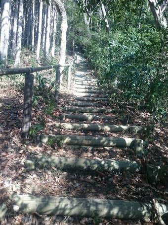 仏頂山の階段