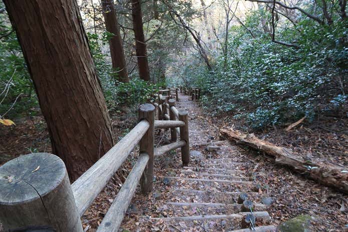 筑波山薬王院コースの階段