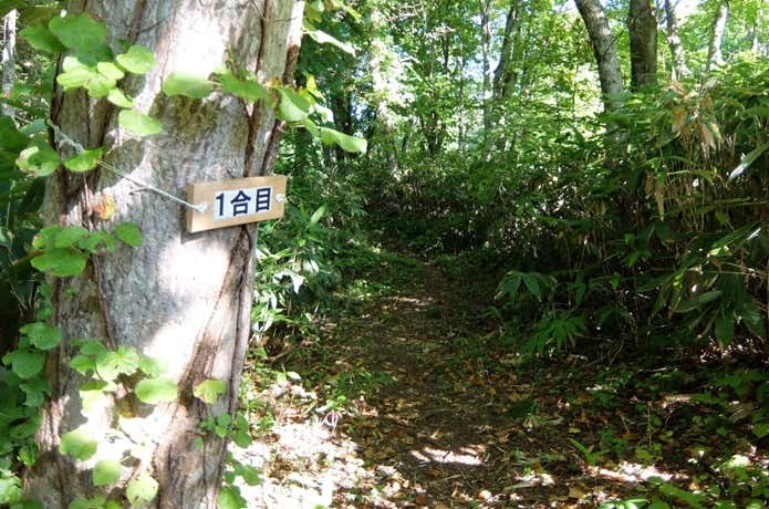 喜茂別コース1合目登山道