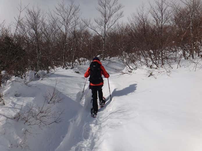 雪山登山