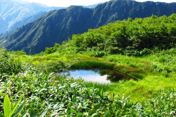 越後駒ケ岳の百草の池