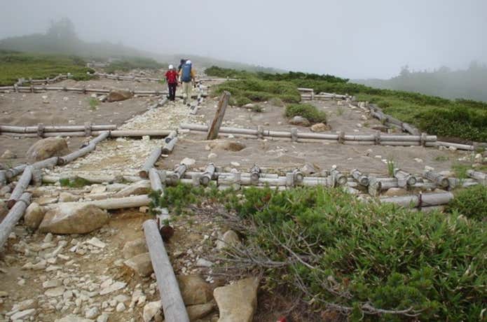 太郎平小屋手前の登山道