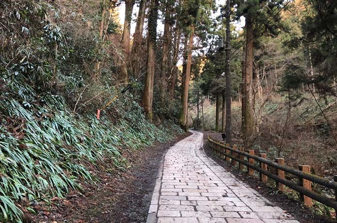 早朝高尾山の道
