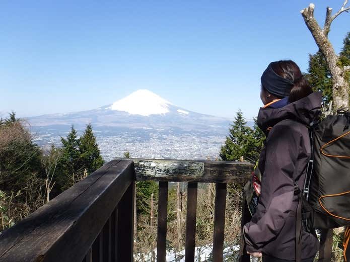 汗とおる君と富士山