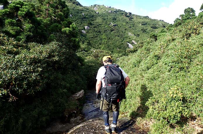登山　インナー