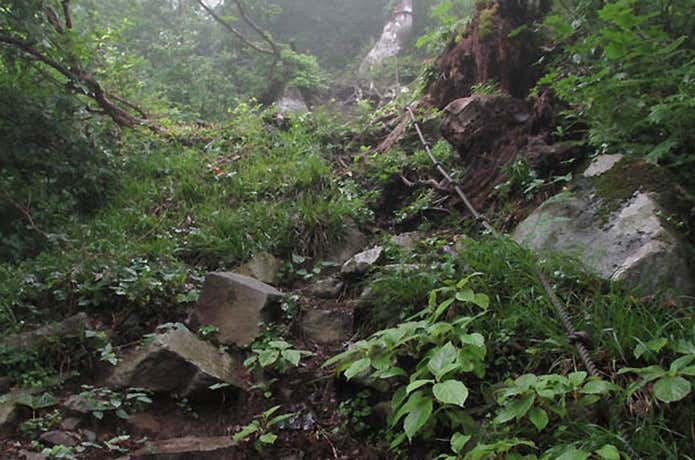 荒島岳の急登
