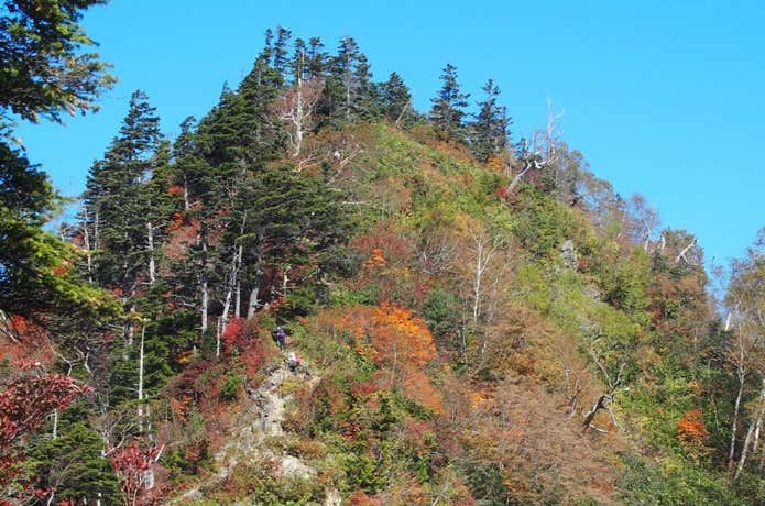 高妻山からみた紅葉