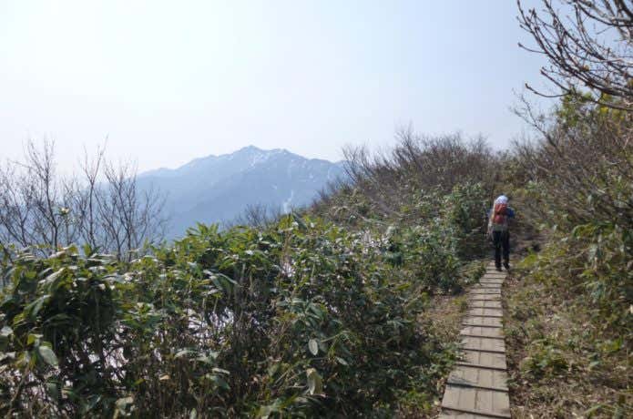 越後駒ケ岳の木道
