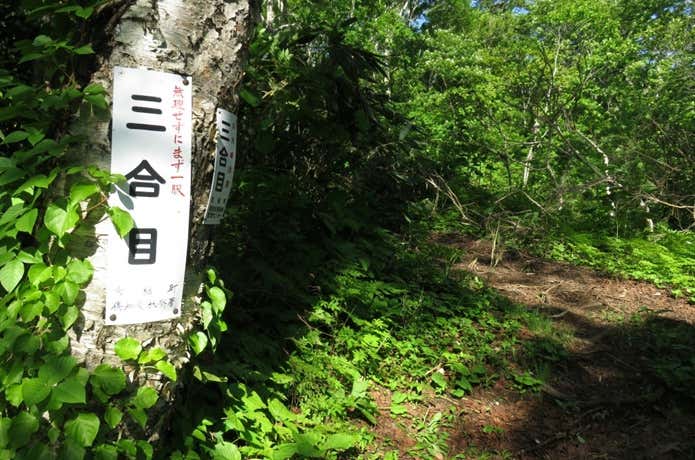 京極コース3合目