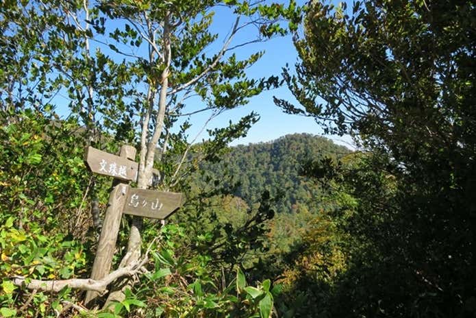 新緑の登山道