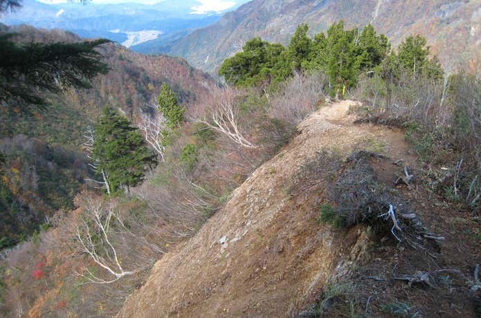 雨飾山の山道