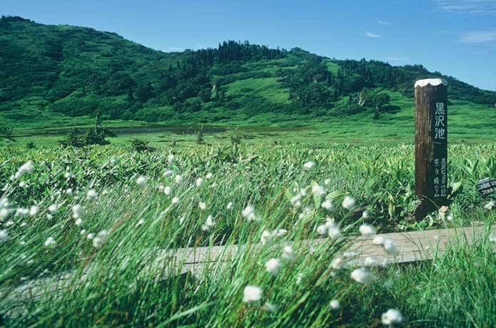 黒沢池