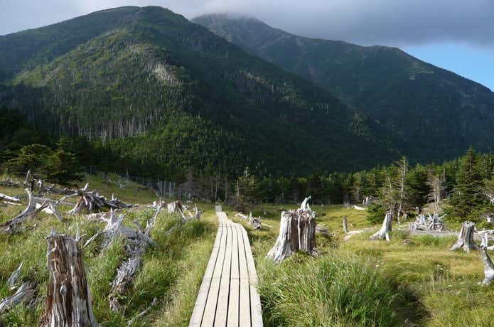 聖平小屋分岐の画像