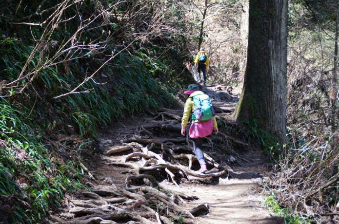 高尾山六合目を登る人