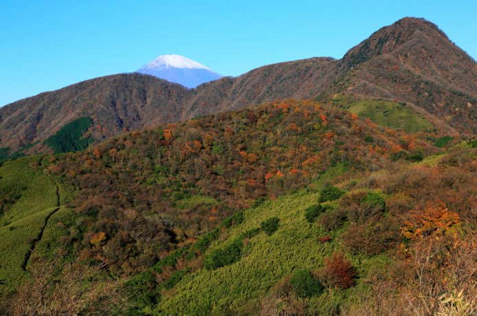 秋の金時山と富士山