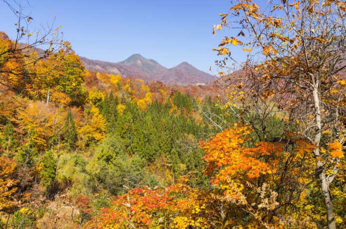 高妻山紅葉