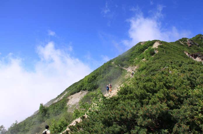 唐松岳　登山道