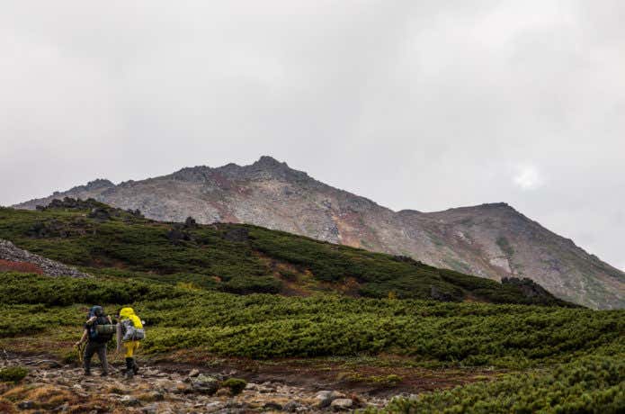 トムラウシ山に向かって歩く登山者