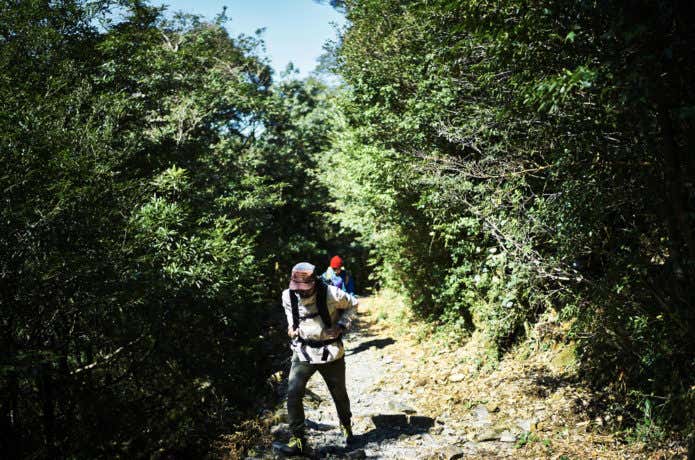 夏の登山者