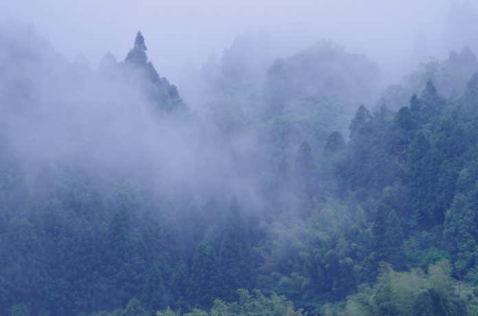 霧がかった山