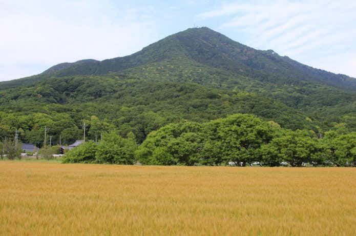 麦畑越しの筑波山